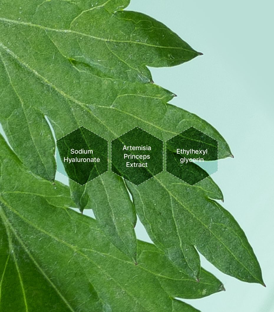 I'm From - Mugwort Essence - 150ml - Image 2