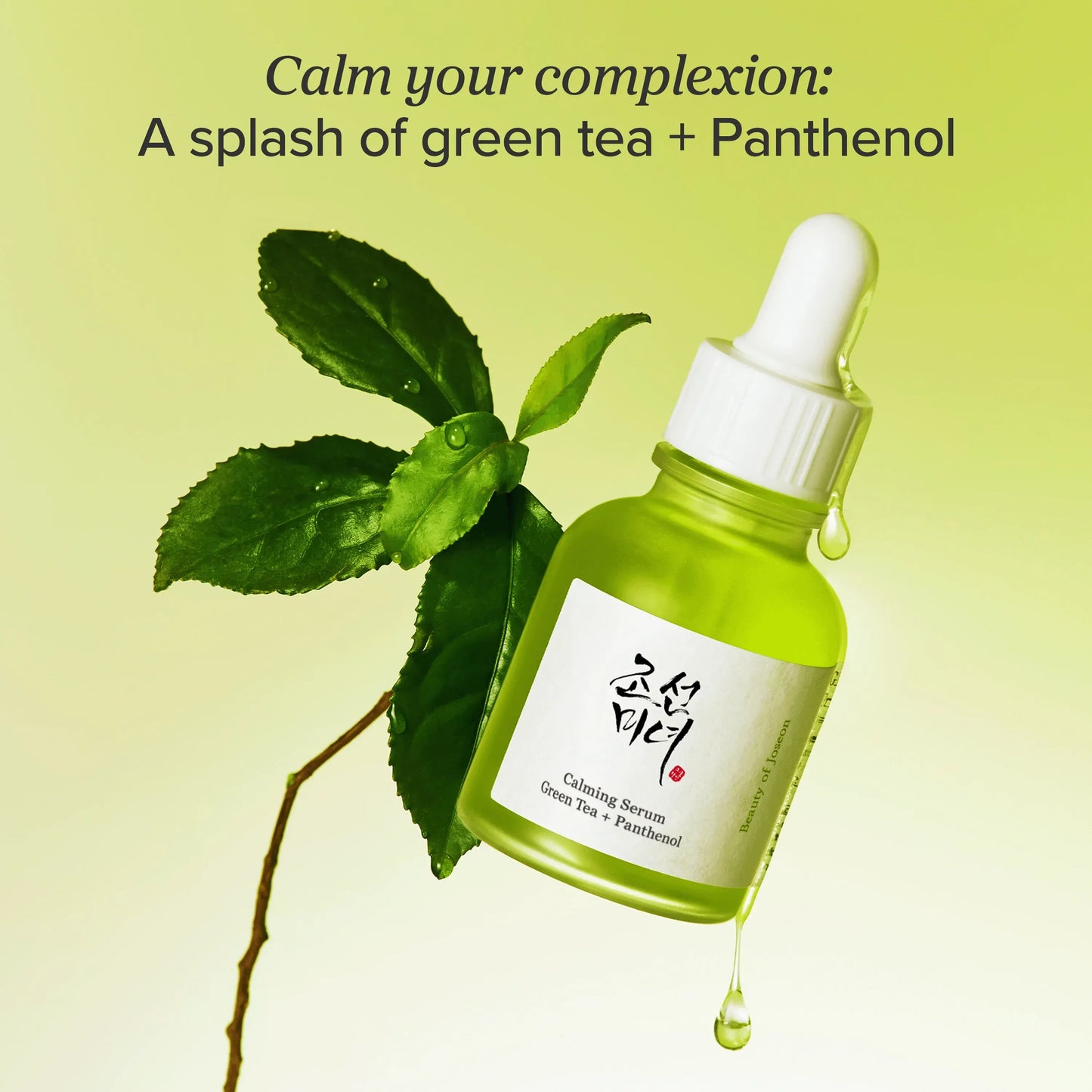 Beauty of Joseon - Calming Serum: Green Tea + Panthenol - 30ml