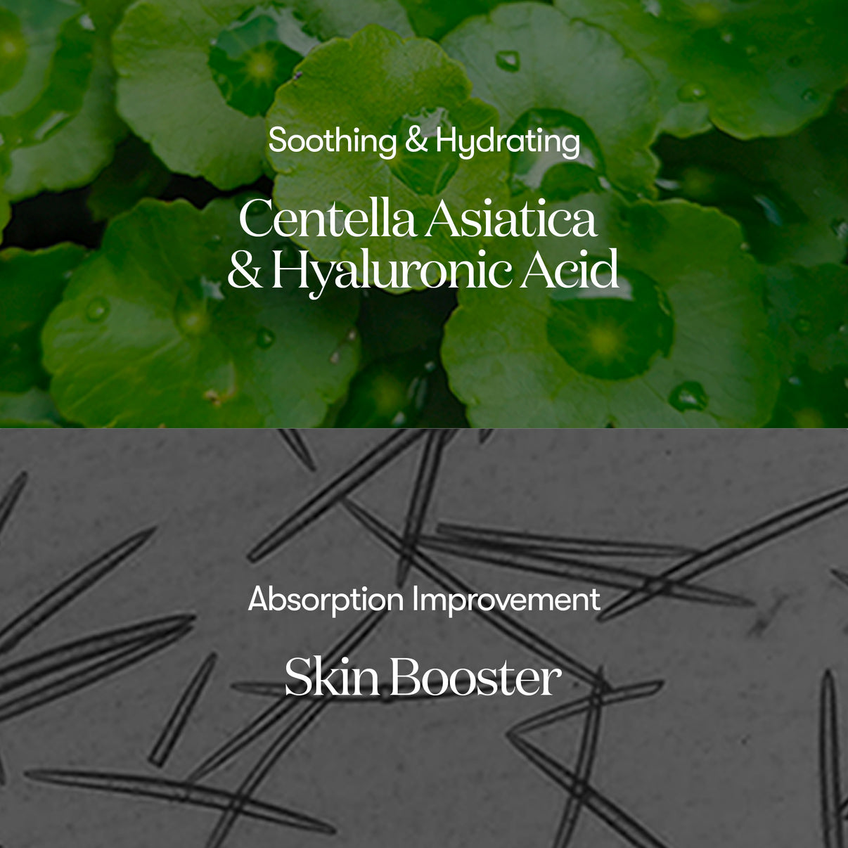 VT Cosmetics - Reedle Shot 100 - 50ml