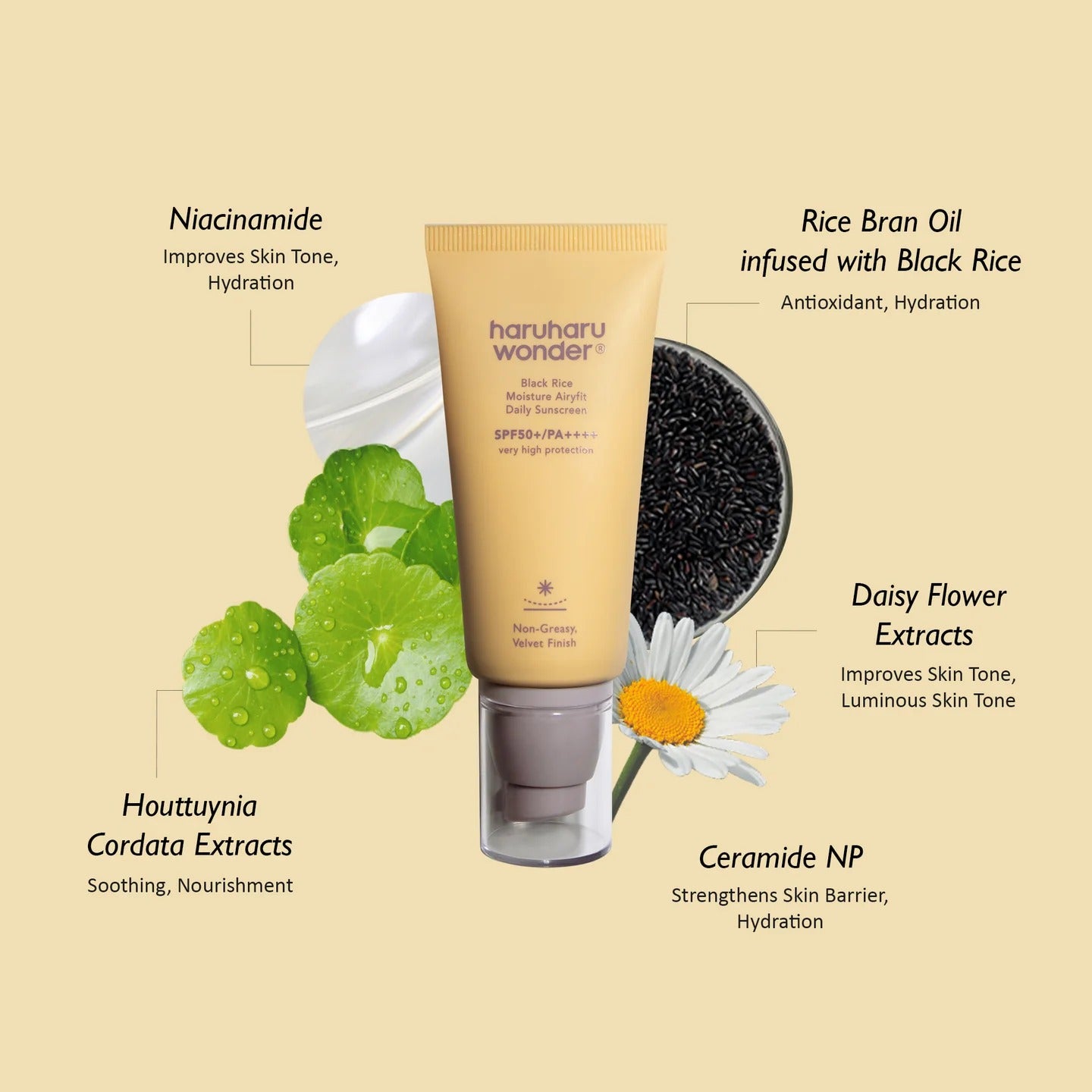 Haruharu Wonder - Black Rice Moisture Airyfit Daily Sunscreen SPF50+ PA++++ - 50ml