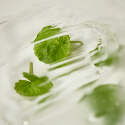 iUNIK - Centella Calming AC Spot Cream - 20ml