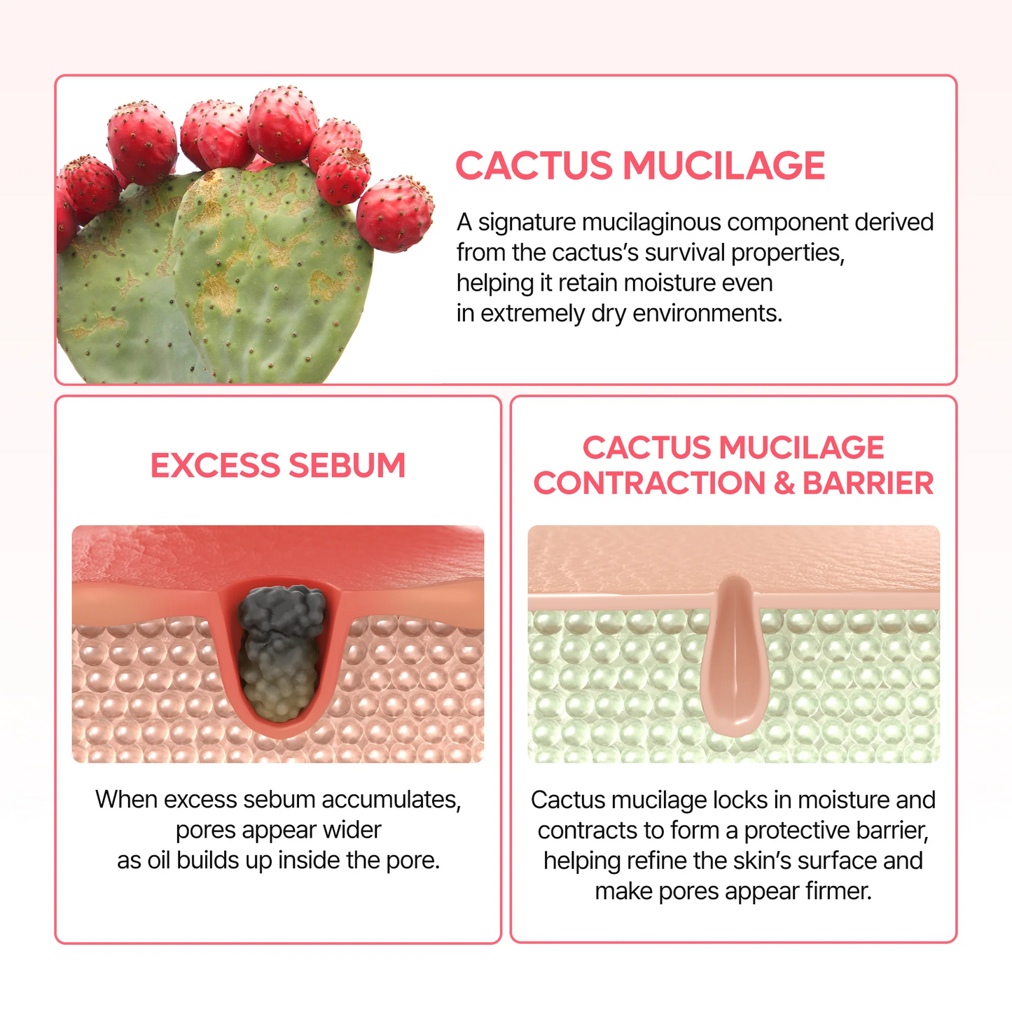 Dr. Melaxin - CACTOX Pore Dual Capsule Cream - 65g