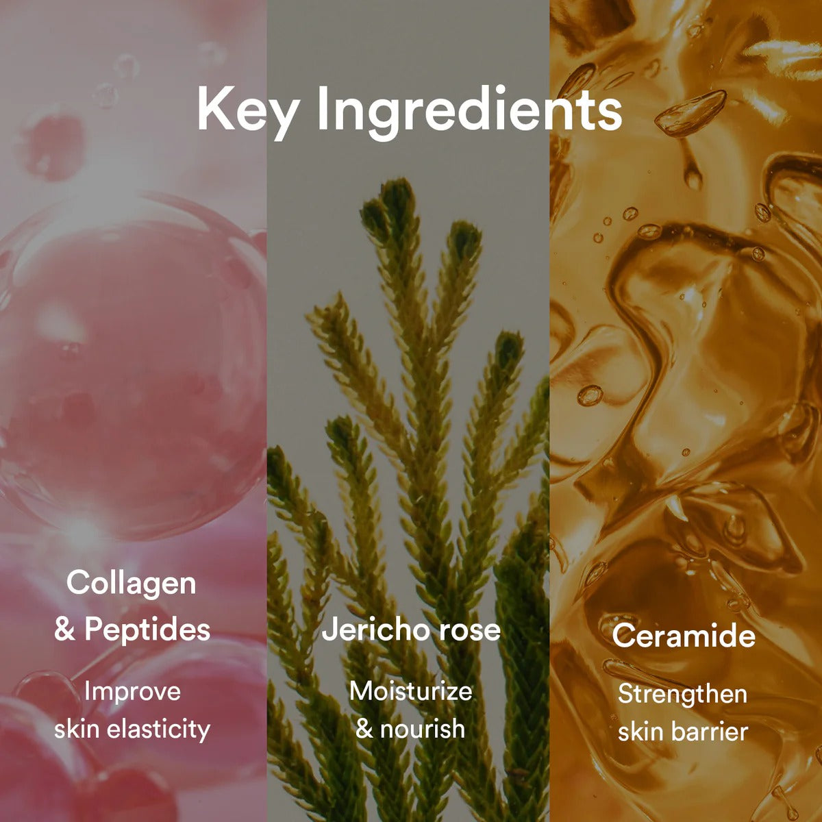 Abib - Collagen Gel Sheet Mask Jericho Rose Jelly – 35g (Single)