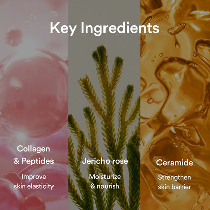 Abib - Collagen Gel Sheet Mask Jericho Rose Jelly – 35g (Single)