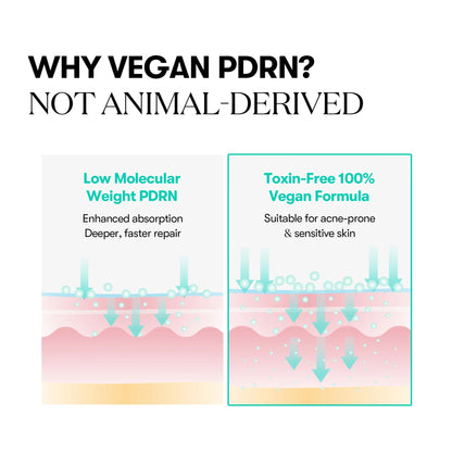 VT Cosmetics - PDRN Capsule Cream 100 – 50ml