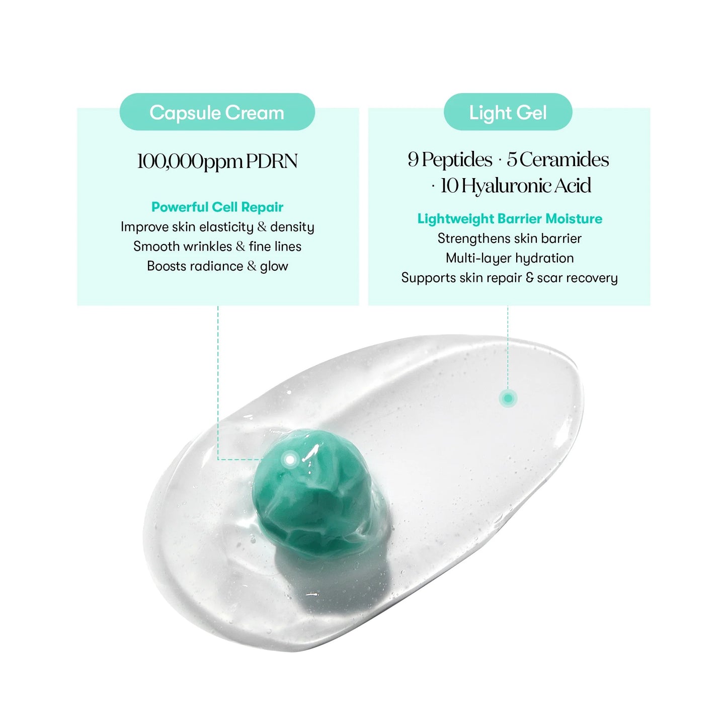 VT Cosmetics - PDRN Capsule Cream 100 – 50ml